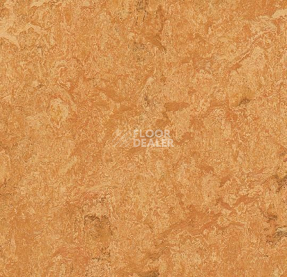 Линолеум Forbo Marmoleum Marbled Real 3174 Sahara фото 1 | FLOORDEALER